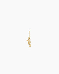 Seahorse Parker Charm || option::18K Gold Plated