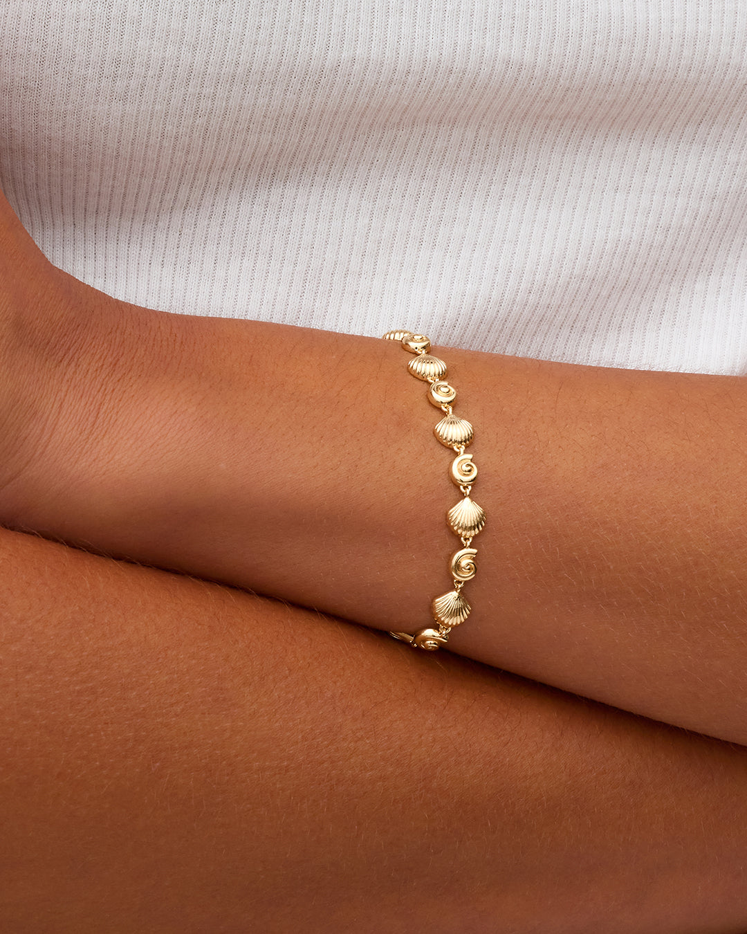 Nautilus Bracelet || option::18K Gold Plated